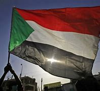Image result for Sudan Government
