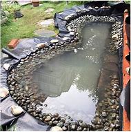 Image result for Pond Liner Pool