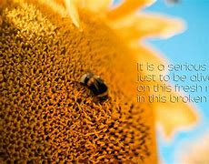 Image result for Be Alive Quotes