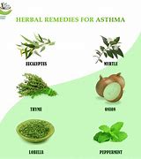 Image result for Herbal Medicine for Asthma
