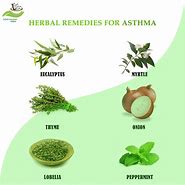 Image result for Herbs Good for Asthma