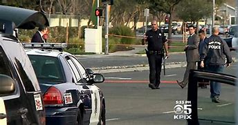 Image result for San Jose hit-and-run that killed mother, dog