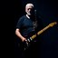 Image result for David Gilmour Young Guitar