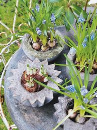 Image result for DIY Flower Garden Crafts