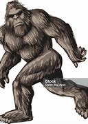 Image result for Bigfoot Witness Sketches