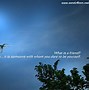 Image result for Beautiful Day Quotes Inspirational