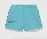 Image result for PANGAIA Shorts