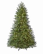 Image result for Price of Christmas Trees at Home Depot