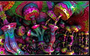Image result for Mushrooms Psychedelic
