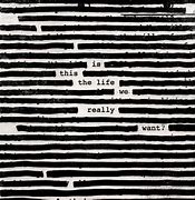 Image result for Roger Waters This Is Not a Drill Stage