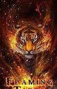 Image result for Fire Tiger Wallpaper 3D