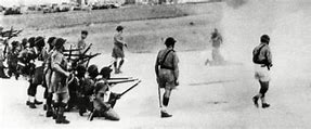 Image result for French Firing Squad