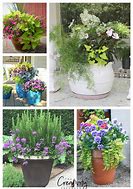 Image result for Flower Pots and Planters