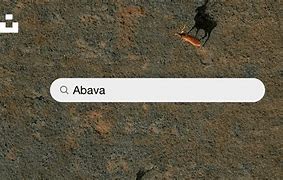 Image result for abavá