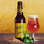 Image result for Lager Ale