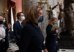 Image result for Nancy Pelosi Clothes Horse