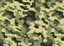 Image result for Hunting Camo Print