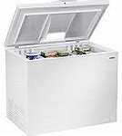 Image result for Kenmore 13 Chest Freezer