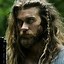 Image result for Viking Braids Hairstyles Back