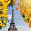 Image result for Eiffel Tower France Beautiful in Rectangle
