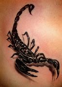 Image result for Cool Scorpion Designs