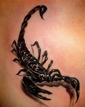 Image result for Cool Scorpion Tattoos