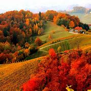 Image result for Most Beautiful Landscapes Autumn