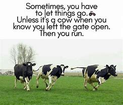 Image result for Funny Farm Quotes and Sayings