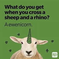 Image result for Funny Sheep Puns