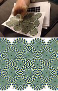 Image result for Cat Optical Illusion