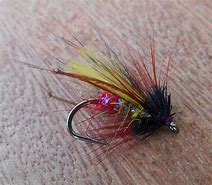 Image result for Trout Fishing Flies