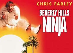 Image result for Beverly Hills Ninja Dancer
