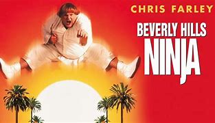 Image result for Beverly Hills Ninja Hiding