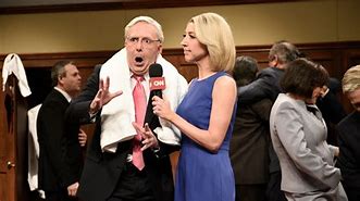 Image result for Saturday Night Live TV