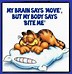 Image result for Joke of the Day Funny Quotes