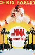 Image result for Un Ninja En Beverly Hills