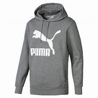 Image result for puma hoodie men