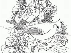 Image result for Detailed Nature Coloring Pages