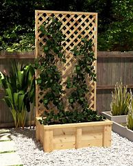 Image result for Planters with Trellis Anchored