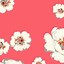 Image result for Pretty Girly Wallpaper for iPhone