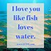 Image result for Love You Like Quotes