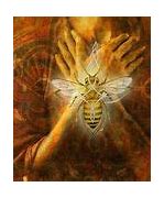 Image result for Blessed Bee