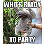 Image result for Happy Friday Sloth Meme
