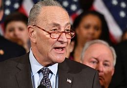 Image result for Charles Schumer Bio