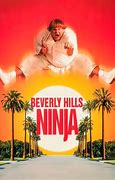 Image result for Beverly Hills Ninja Poster