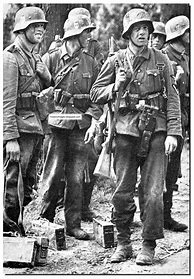 Image result for WWII Waffen SS Soldier