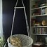 Image result for Cool Hanging Chairs