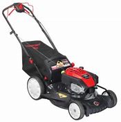 Image result for Self-Propelled Rear Wheel Drive Lawn Mower