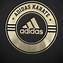 Image result for Adidas Black and Metallic Gold Hoodie