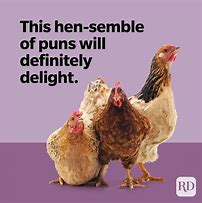 Image result for Chicken Puns